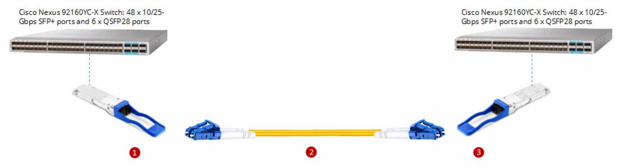 Direct Connection for Cisco Compatible 100G QSFP28 LR4 Transceivers Direct Connection for Cisco Compatible 100G QSFP28 LR4 Transceivers